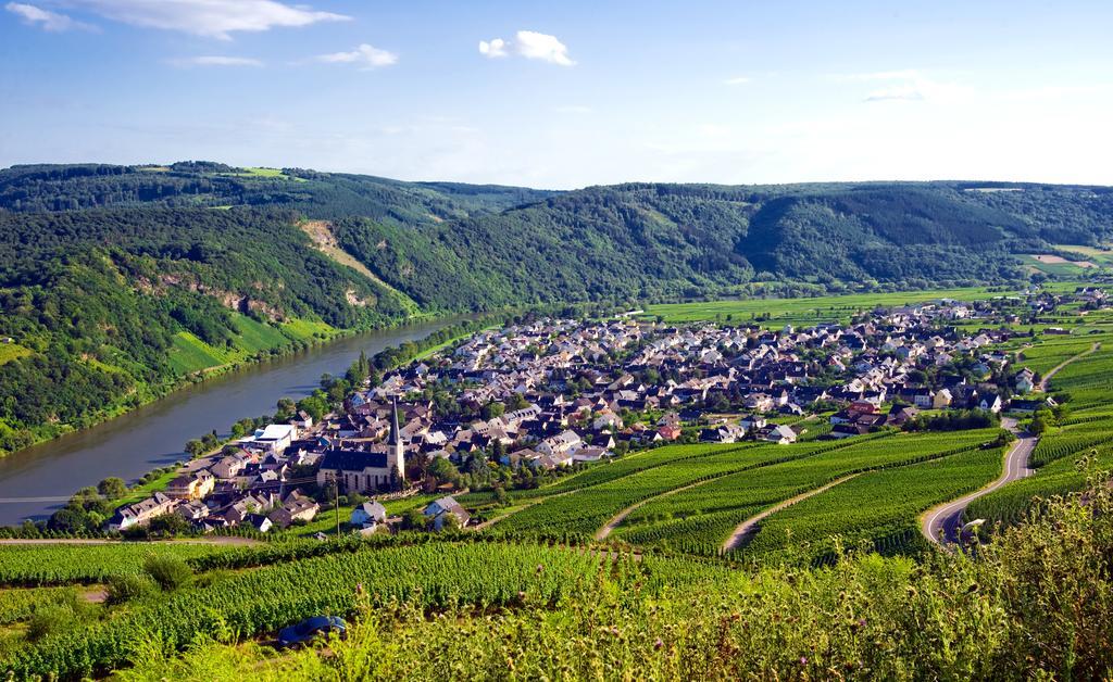 Ferienweingut Rainer Beitzel Hotell Kröv Exteriör bild