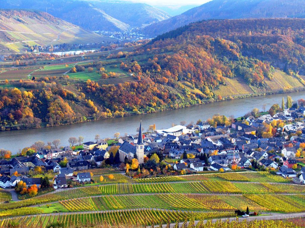 Ferienweingut Rainer Beitzel Hotell Kröv Exteriör bild